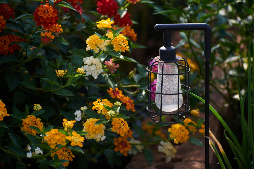 Illuminazione del giardino